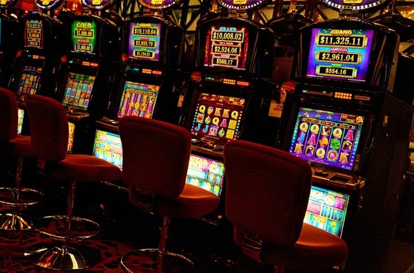 paito floridaeve sportsbook interface and tournament data